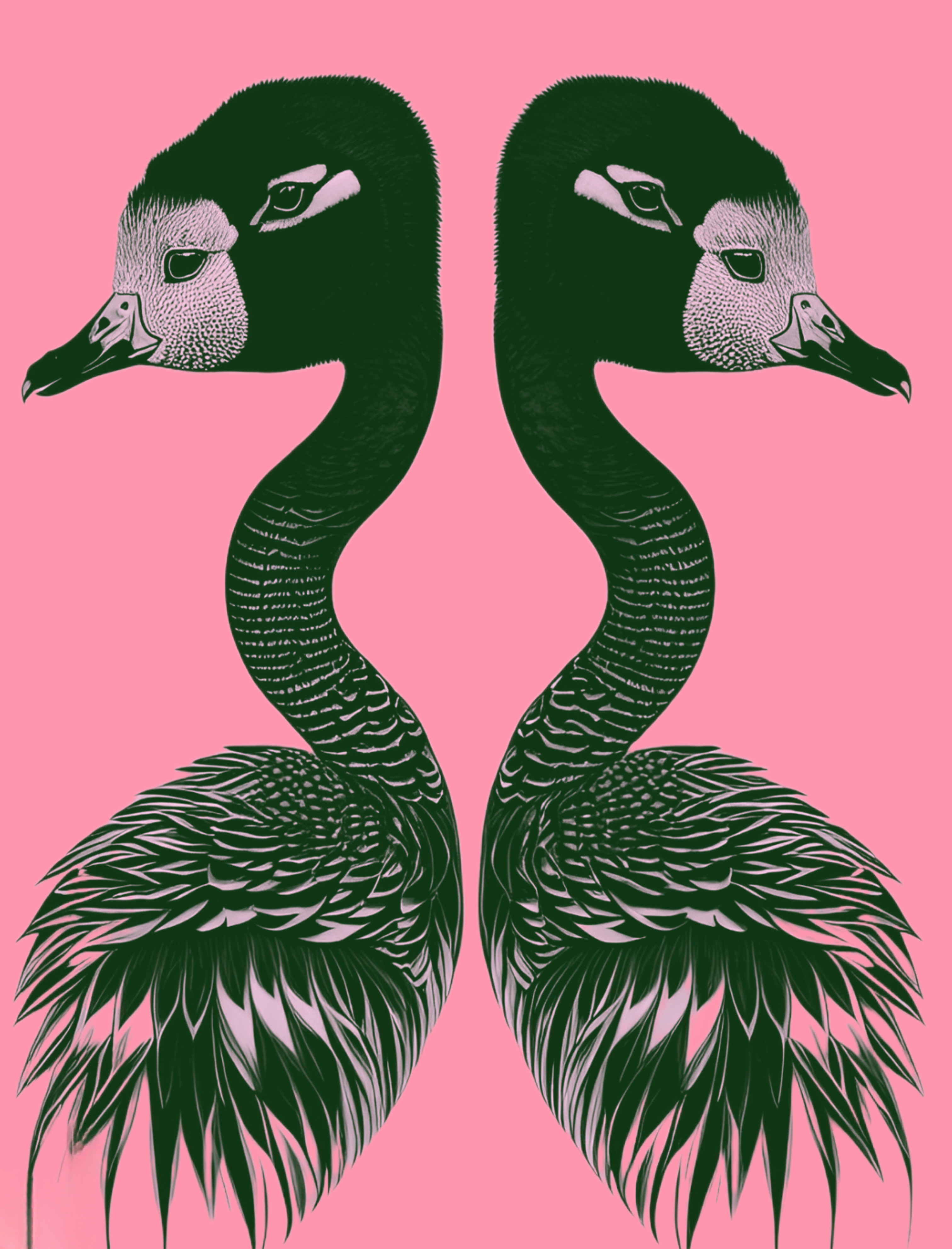 Graphic Design